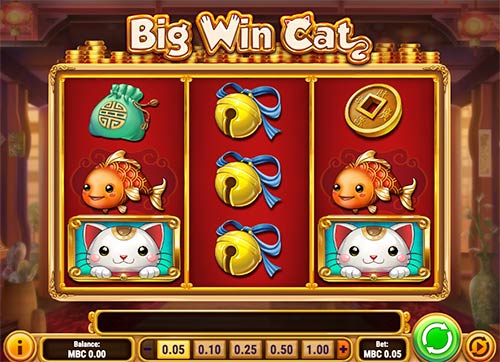 Big Win Cat slot game Play'n GO Big Win Cat slot game from Play'n GO game provider.