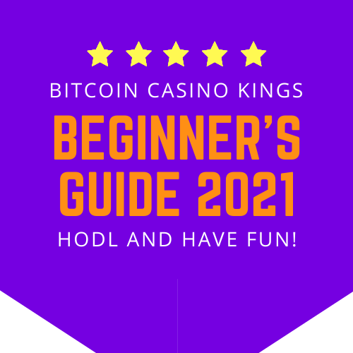 Beginner's Guide to Bitcoin Casinos 2020 beginners guide to bitcoin casinos 2021