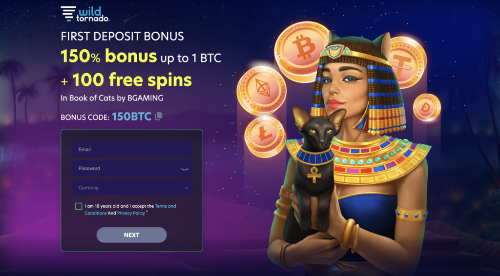 no deposit 100 free spins