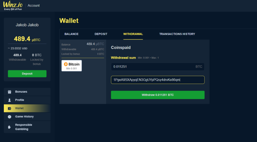 winz_casino_review