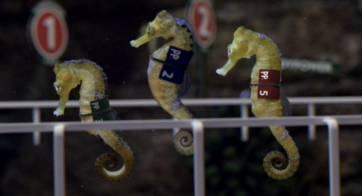 Embrace April Fool’s Day With These Hilariously Wonderful Pranks