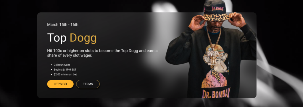 snoop dogg roobet bonuses