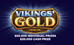Viking’s Gold Level Up