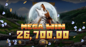 wild flow big win