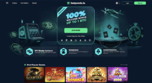 home page for betpanda.io casino