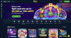 winz.io casino home page