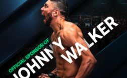 Betpanda UFC